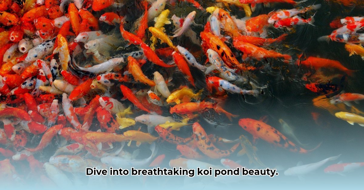 ikan-koi-live-wallpaper